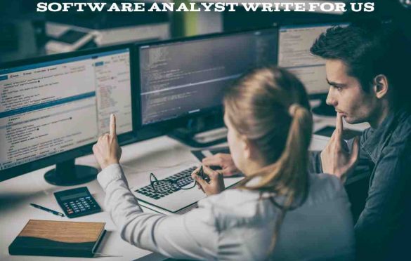 Software Analyst