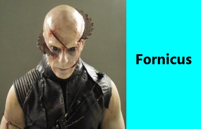Cabin in the Woods Monsters Fornicus