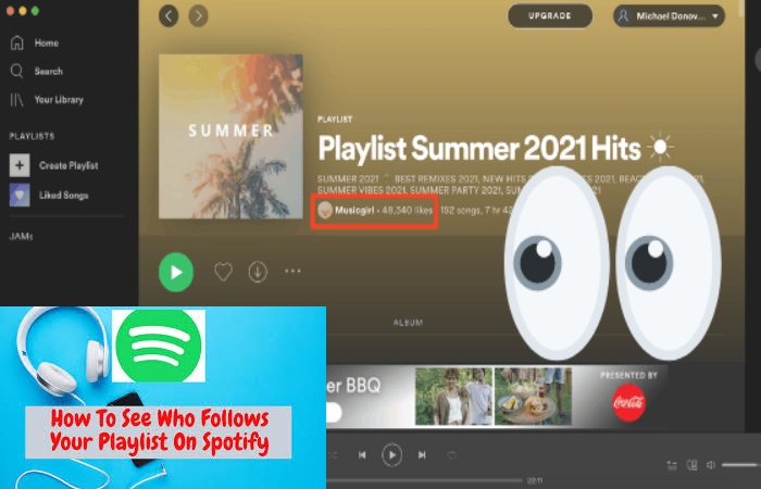 Can You See Who Liked Your Spotify Playlist - Is there a trick