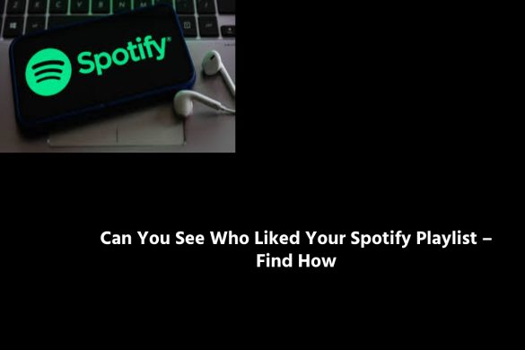 Can You See Who Liked Your Spotify Playlist – Find How