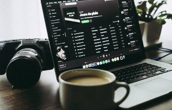 Can You See Who Liked Your Spotify Playlist