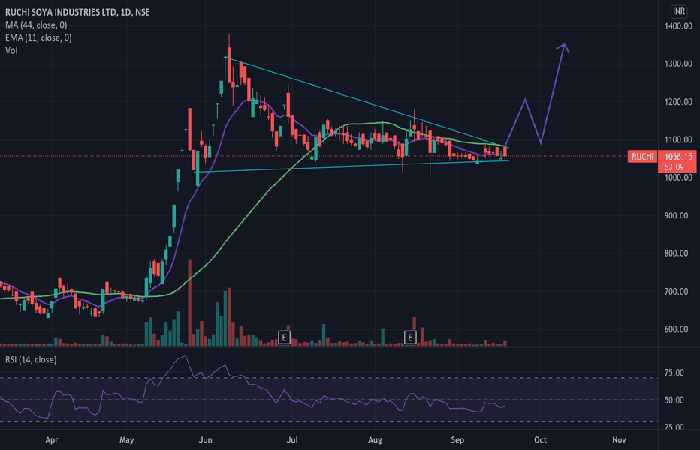 What is the Share Price of Nse: Ruchi?