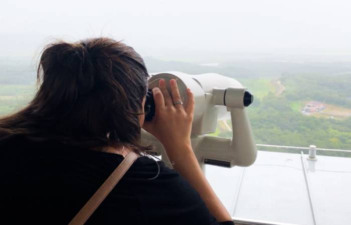 Different DMZ Tour Offers and Providers