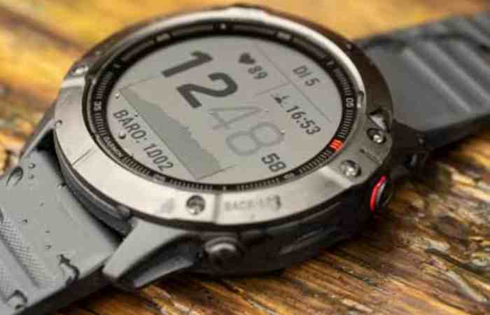 Garmin Fenix 6X