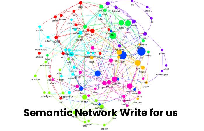 Semantic Network Write for us