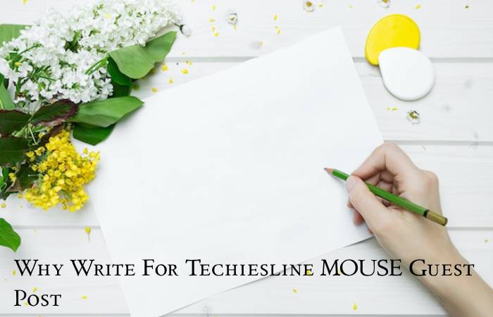 Why Write For Techiesline MOUSE Guest Post