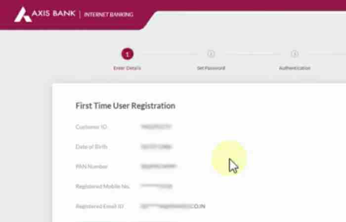 How does the Tallyman Axis Login work_
