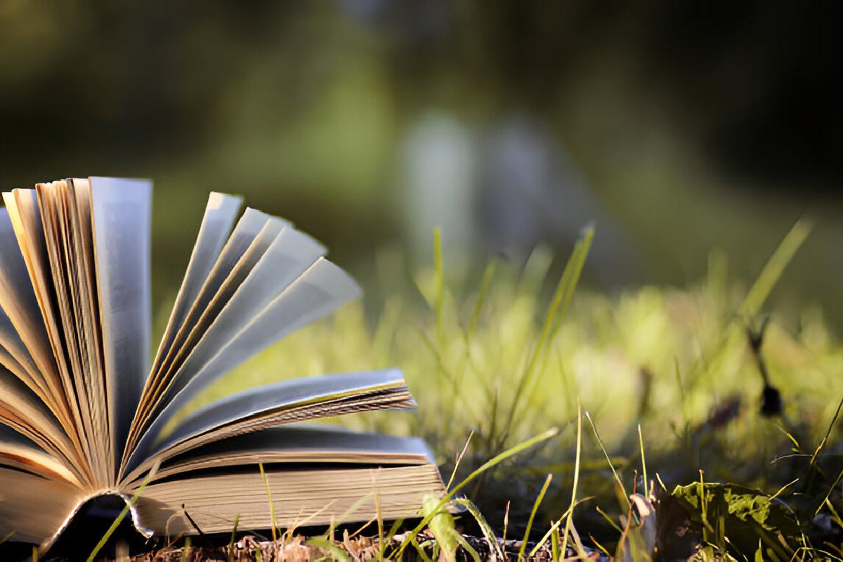 Simple Plots in Literature That Offer Deep Calm